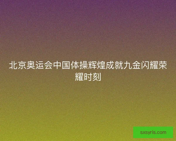 北京奥运会中国体操辉煌成就九金闪耀荣耀时刻