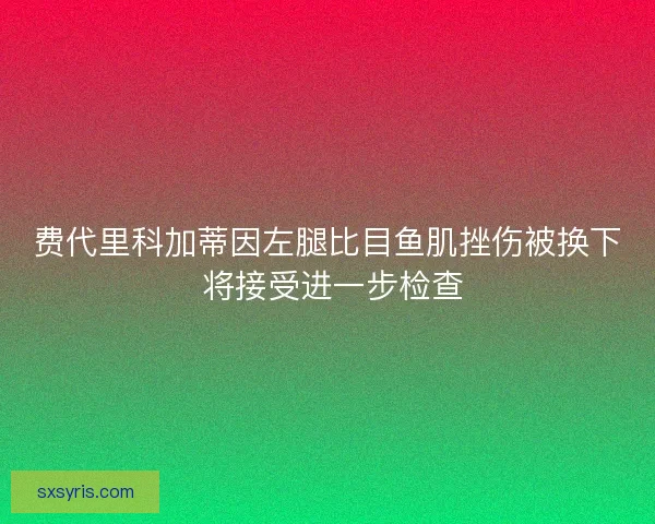 费代里科加蒂因左腿比目鱼肌挫伤被换下 将接受进一步检查