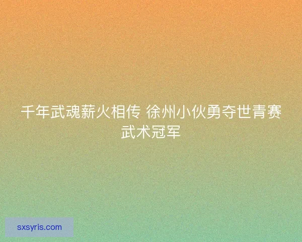 千年武魂薪火相传 徐州小伙勇夺世青赛武术冠军